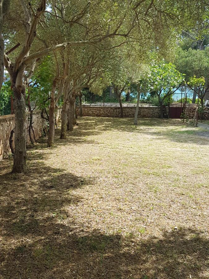 Apartman Lugovic Sibenik Exterior photo